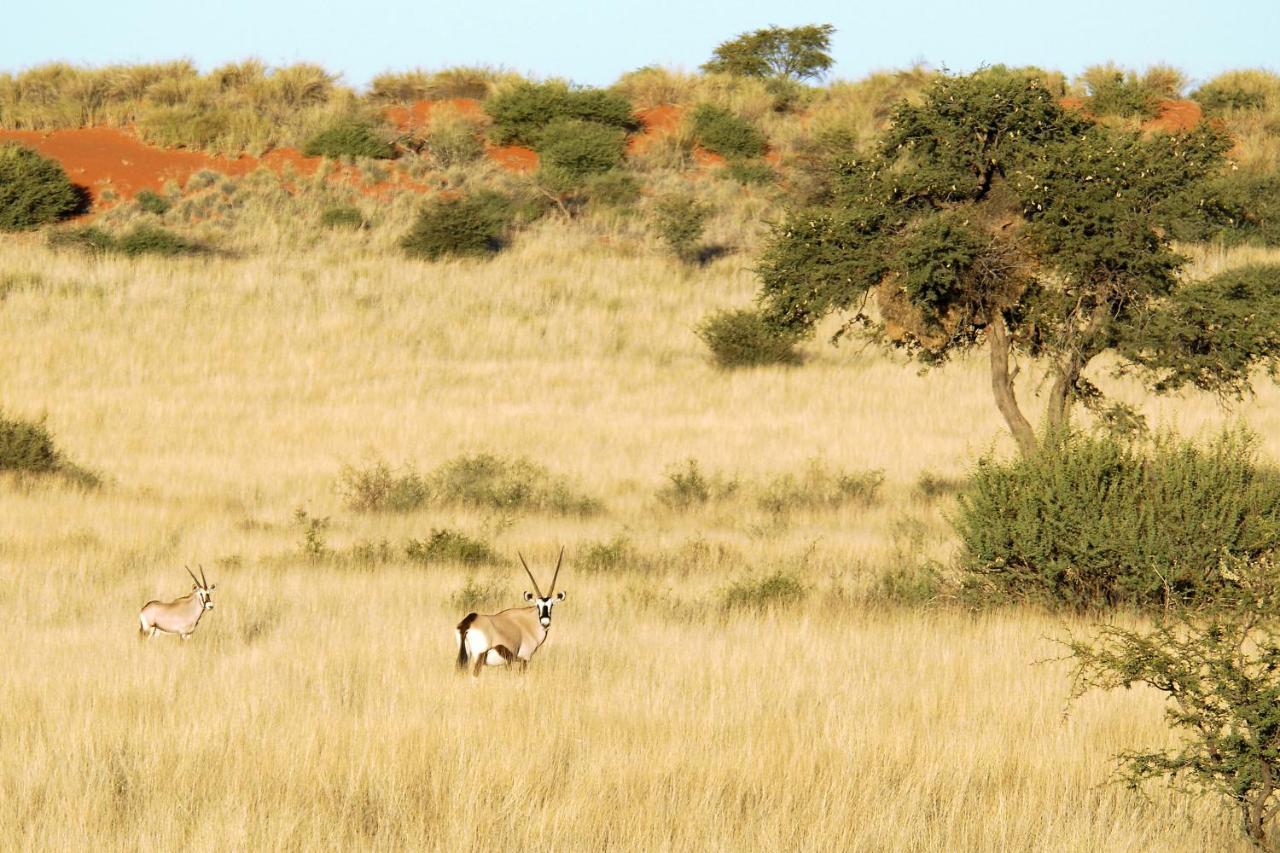 Gondwana Kalahari Anib Lodge Hardap ภายนอก รูปภาพ