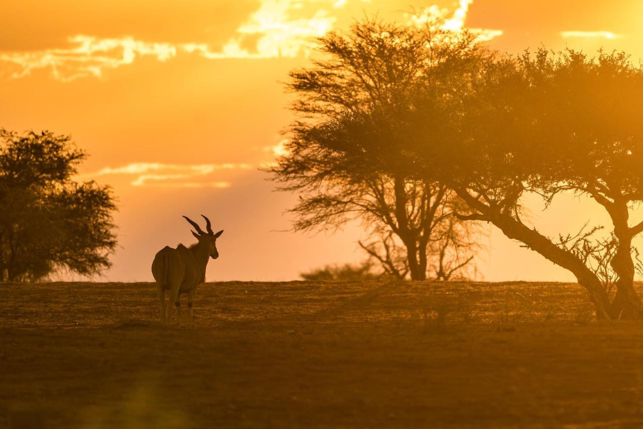 Gondwana Kalahari Anib Lodge Hardap ภายนอก รูปภาพ